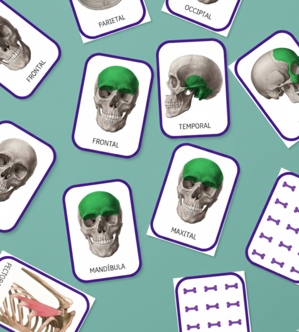 Memorama de los Huesos